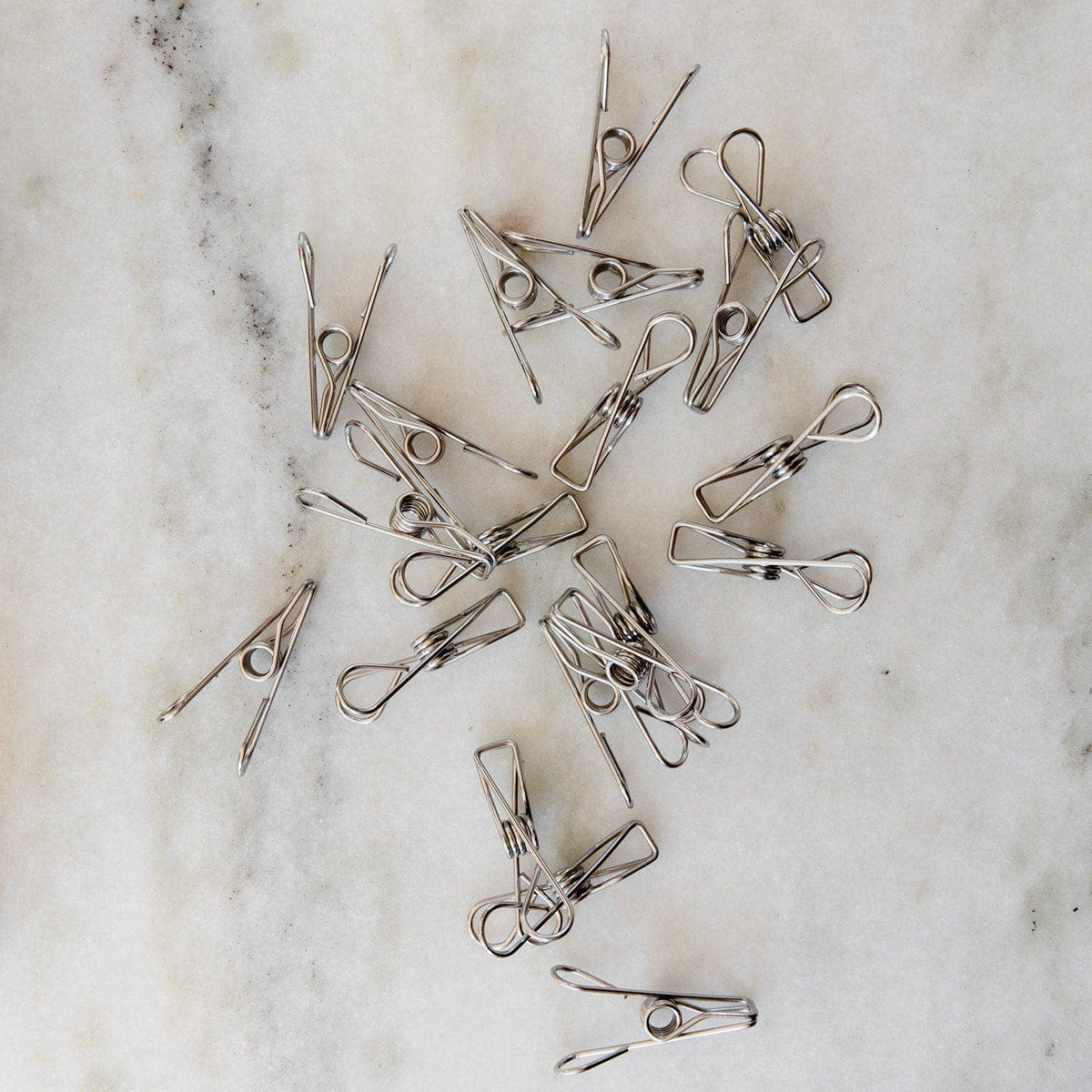 ZWS Essentials | Stainless Steel Clips - Laundry Pegs, Clothespins