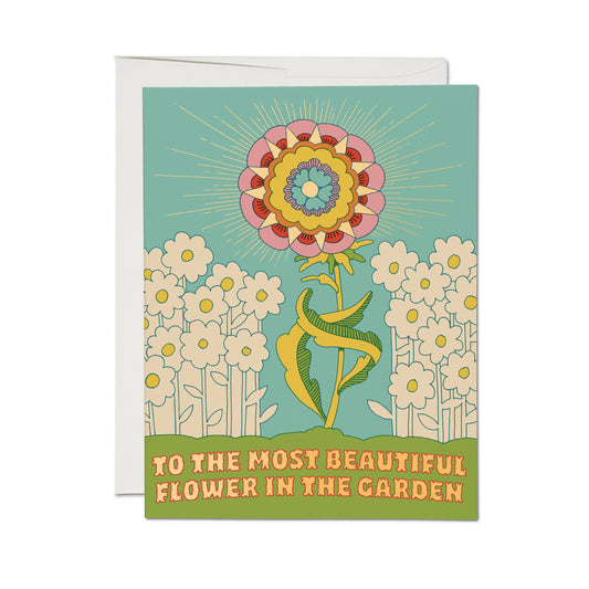 Beautiful Flower | Red Cap Cards