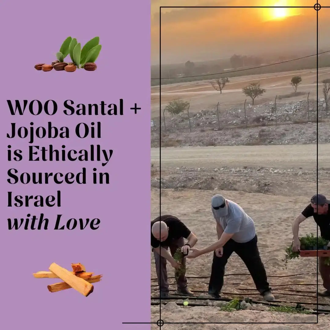 Santal + Jojoba Oil - WOO™