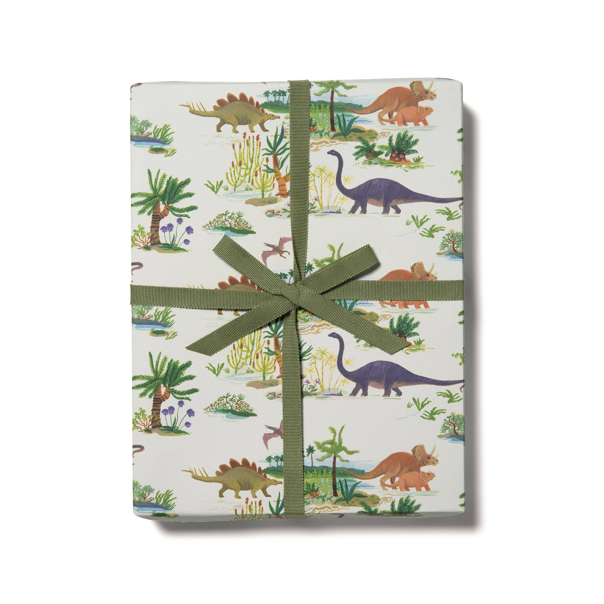 Red Cap Cards | Dinosaurs wrapping paper