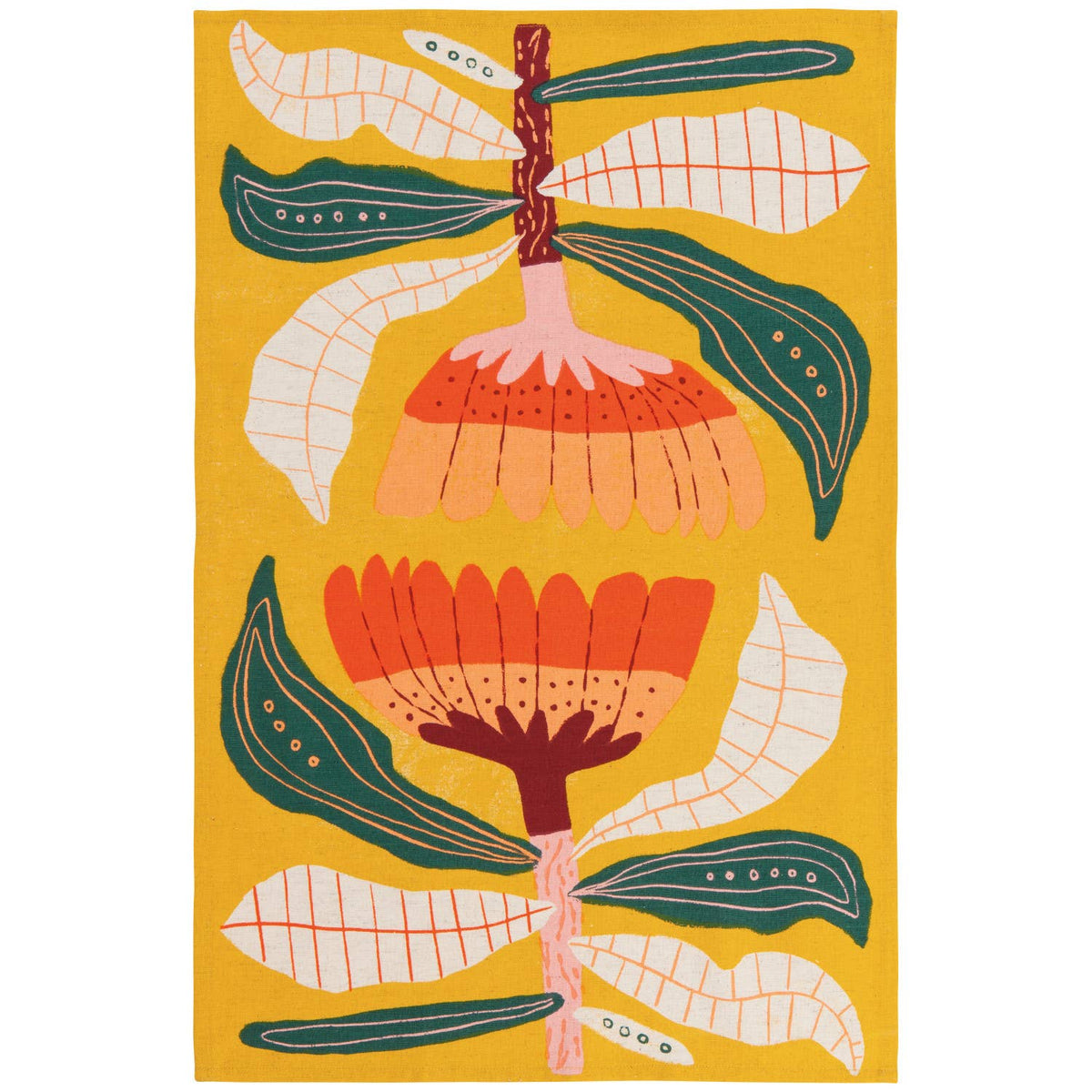 Venus Dishtowels Set of 2 | Danica Studio