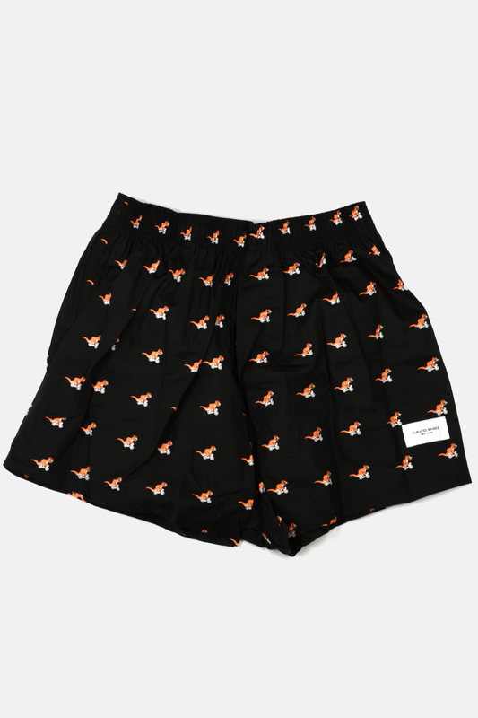 Curated Basics | T-Rex on a Bike Boxer Shorts