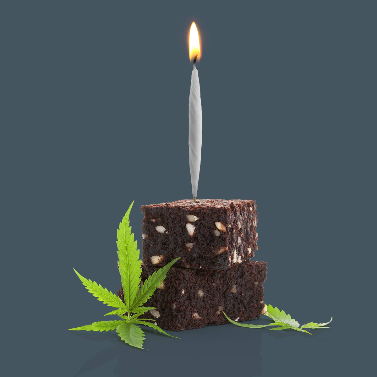 LIT! - Joint Birthday Candles - Set of 6 | Fred & Friends