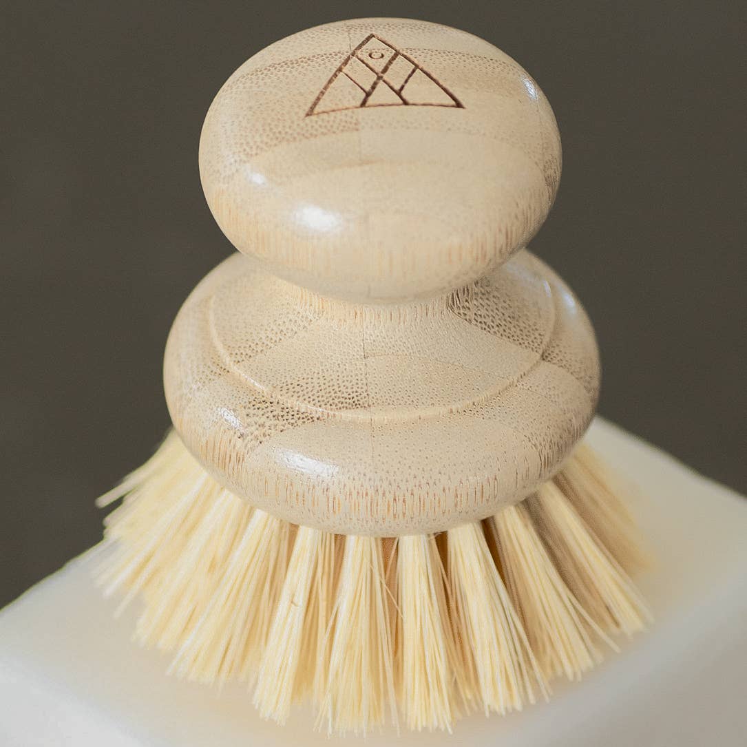 CASA AGAVE® Dish Washing Brush - No Tox Life